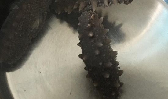 海参煮不烂咋办
