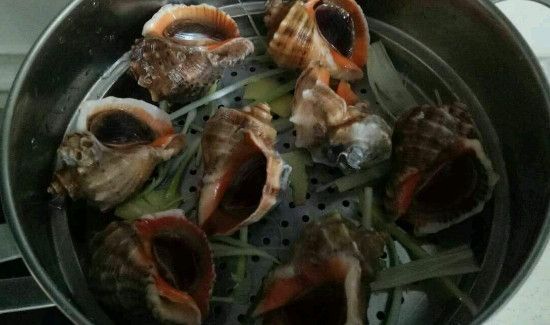 海螺蒸多久