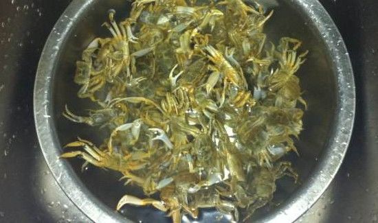 大闸蟹蒸之前要不要洗