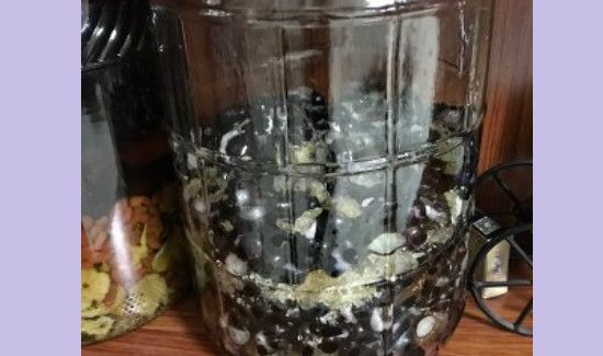 嘉宝果可以泡酒吗
