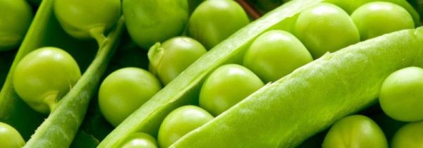 炒豌豆的功效与作用