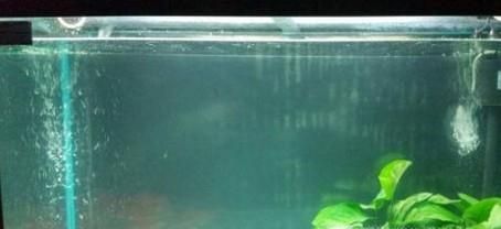 怎么给鱼缸加氧气