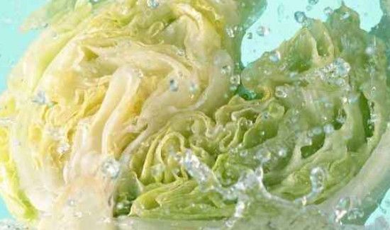 包菜可以生吃吗