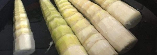 新鲜的春笋可以需要过水吗