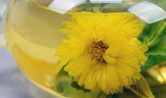 蒲公英可以和什么一起泡水喝