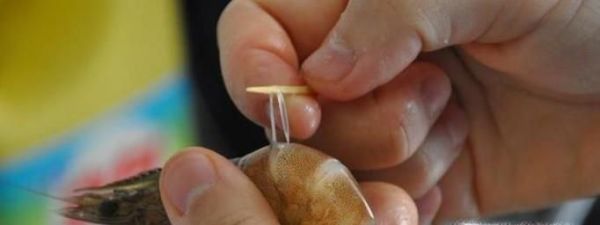 虾的沙线怎么挑