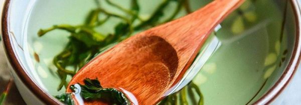 蒲公英可以和什么一起泡水喝