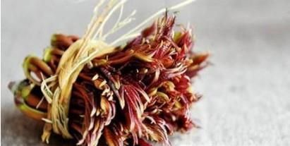 春季有哪些野菜可以吃?具体功效是什么?