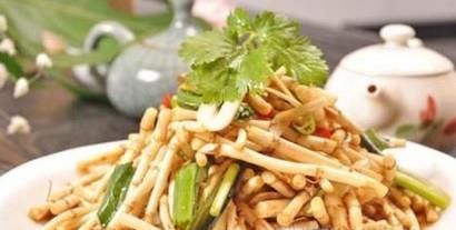 春季有哪些野菜可以吃?具体功效是什么?