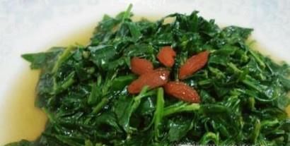 春季有哪些野菜可以吃?具体功效是什么?