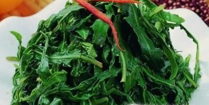 春季有哪些野菜可以吃?具体功效是什么?