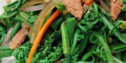 春季有哪些野菜可以吃?具体功效是什么?