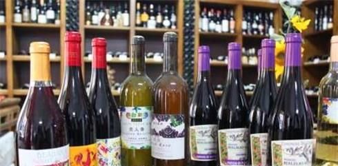 新手如何挑选葡萄酒；买红酒要注意什么