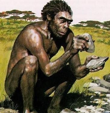 人类是怎么诞生的