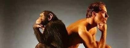 人类是怎么诞生的