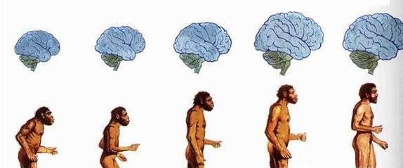 人类是怎么诞生的