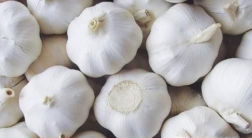 驱蚊子最有效的方法