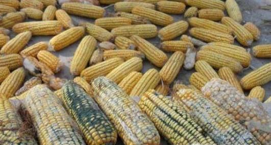 夏季怎样预防食物中毒?轻微中毒如何自救?