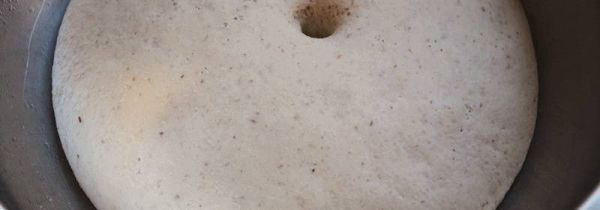 怎样用白酒发面粉做馒头