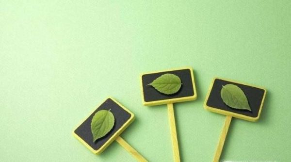 如何才能把生活过得越来越好？