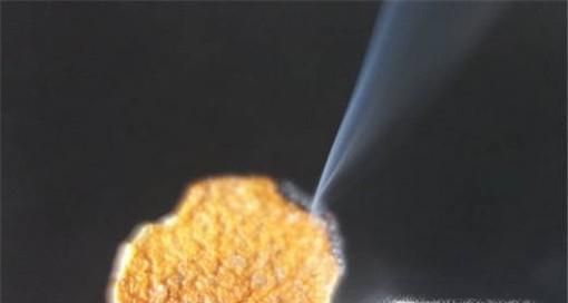 夏季消灭蚊子的小妙招