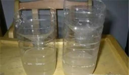 夏季消灭蚊子的小妙招