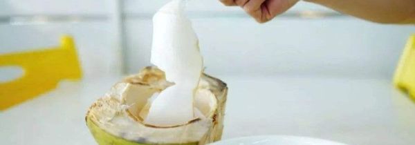 椰青肉的功效与作用