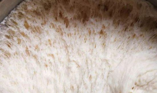 发面一晚上第二天还能吃吗