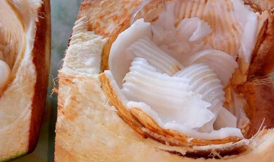 椰青肉的功效与作用