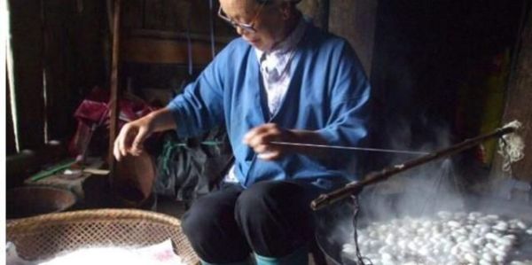 养蚕的时候怎样抽取蚕丝呢？