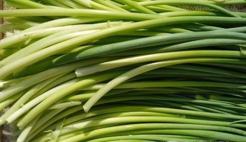 大蒜不抽蒜苔会怎样