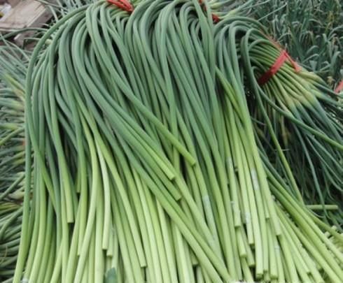 大蒜不抽蒜苔会怎样