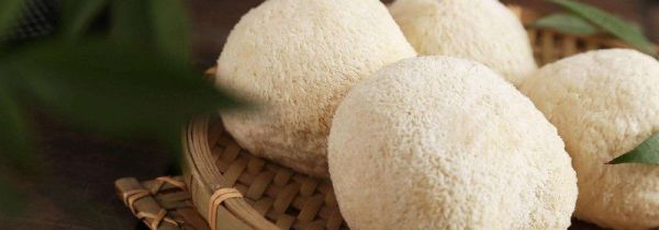 新鲜猴头菇怎么处理