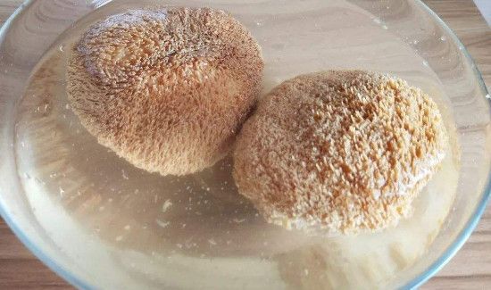 新鲜猴头菇怎么处理