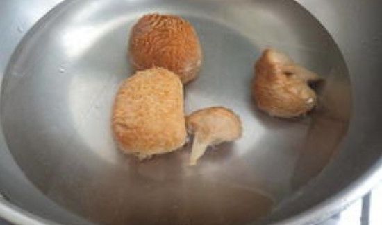 新鲜猴头菇怎么处理