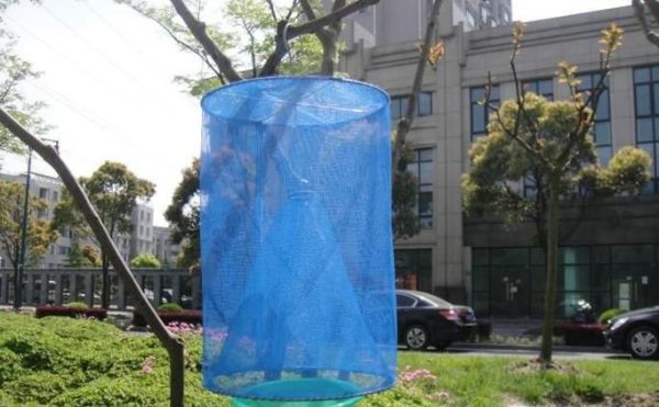 灭苍蝇的方法有哪些