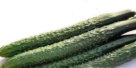 芹菜不能同什么一起吃不得不知