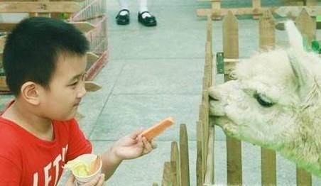 五一假期做什么最有意义呢