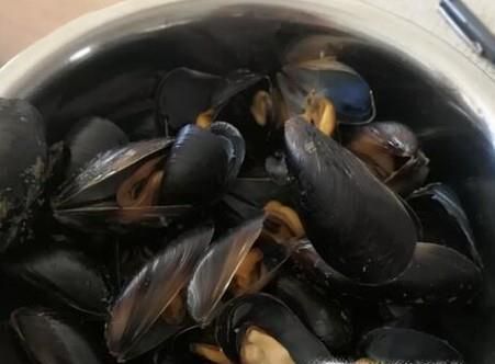 如何让贝壳快速吐出泥沙