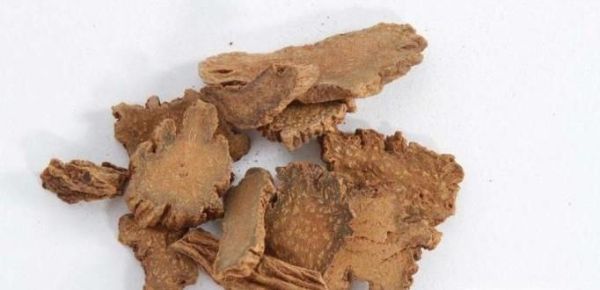 新鲜肉苁蓉处理方式及保存方式