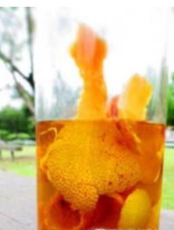 室内养花总有小飞虫怎么办
