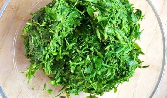 柳芽不能和什么一起吃