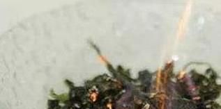 怎样用安全无毒的方法灭蚊子和蟑螂