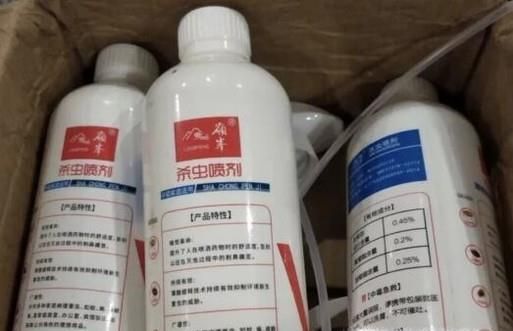 卫生间虫子多怎么去除