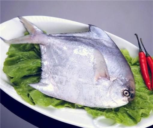 海鱼大集合，认识美味海鱼