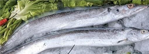 海鱼大集合，认识美味海鱼