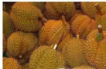 榴莲的挑选方法