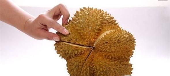 榴莲的挑选方法
