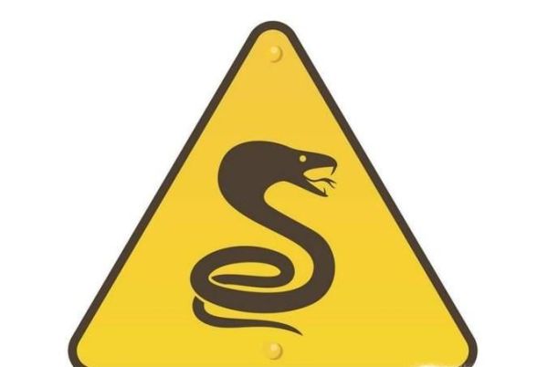 如何区分一条蛇是毒蛇还是无毒蛇？