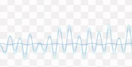 怎样防止小鸟吃樱桃